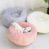 Cat Bed®