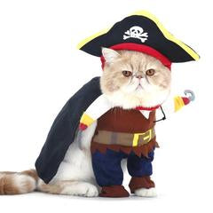 Pirate Cat Costume®