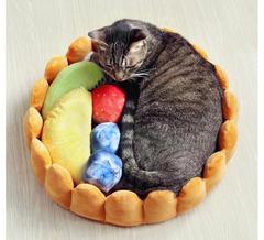 Fruit Tart Cat Bed®