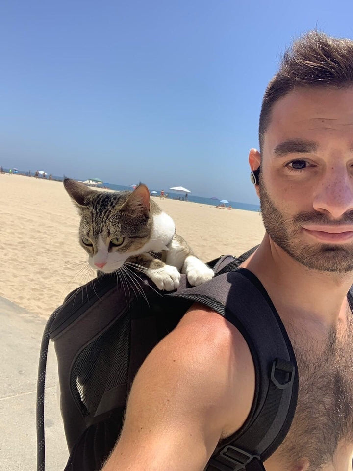 "The Fat Cat" Cat Backpack - For Larger Cats