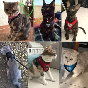 Mesh Cat Harness®