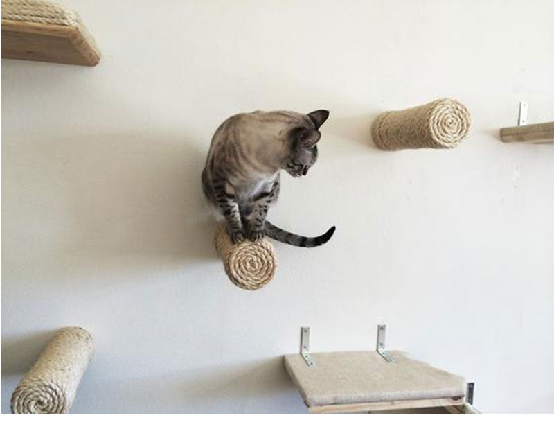 Wall-mounted Step Cat®