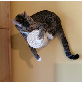 Wall-mounted Step Cat®