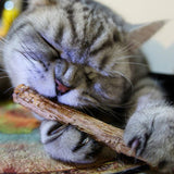 Natural Catnip Toothstick®