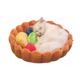 Fruit Tart Cat Bed®