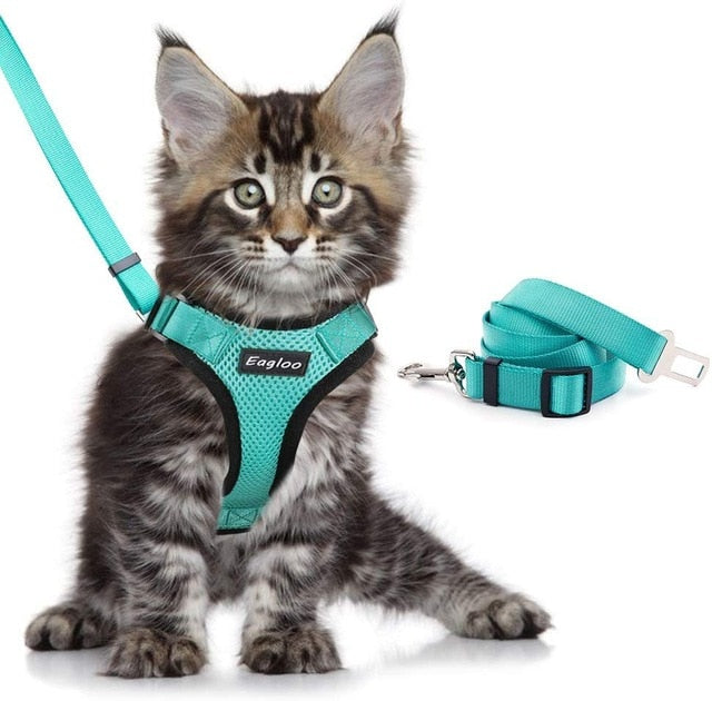 Escape Proof Harness with Leash Set®