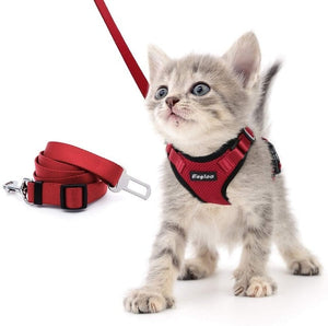 Escape Proof Harness with Leash Set®