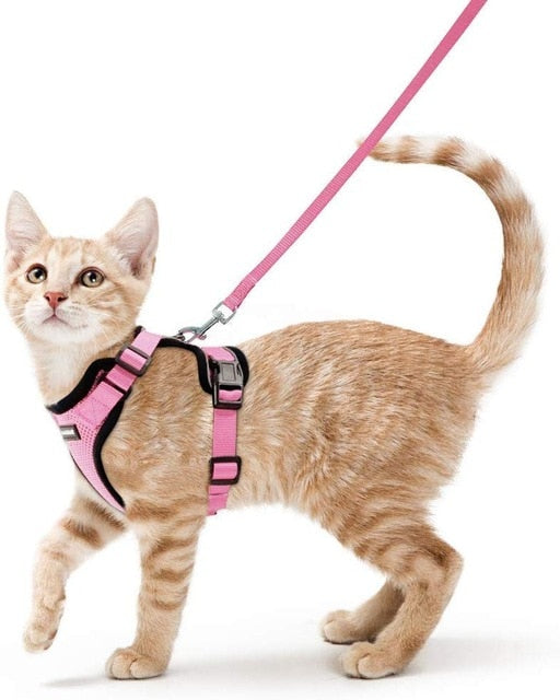 Escape Proof Harness with Leash Set®