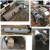 2 Large Holes Cat Tunnel Toys®